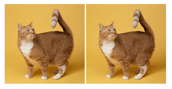 A setup of two images side by side. They are not different yet.
