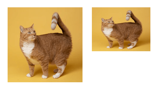 Second image is streched after we set a specific size that doesn&#x27;t fit with the aspect ratio.